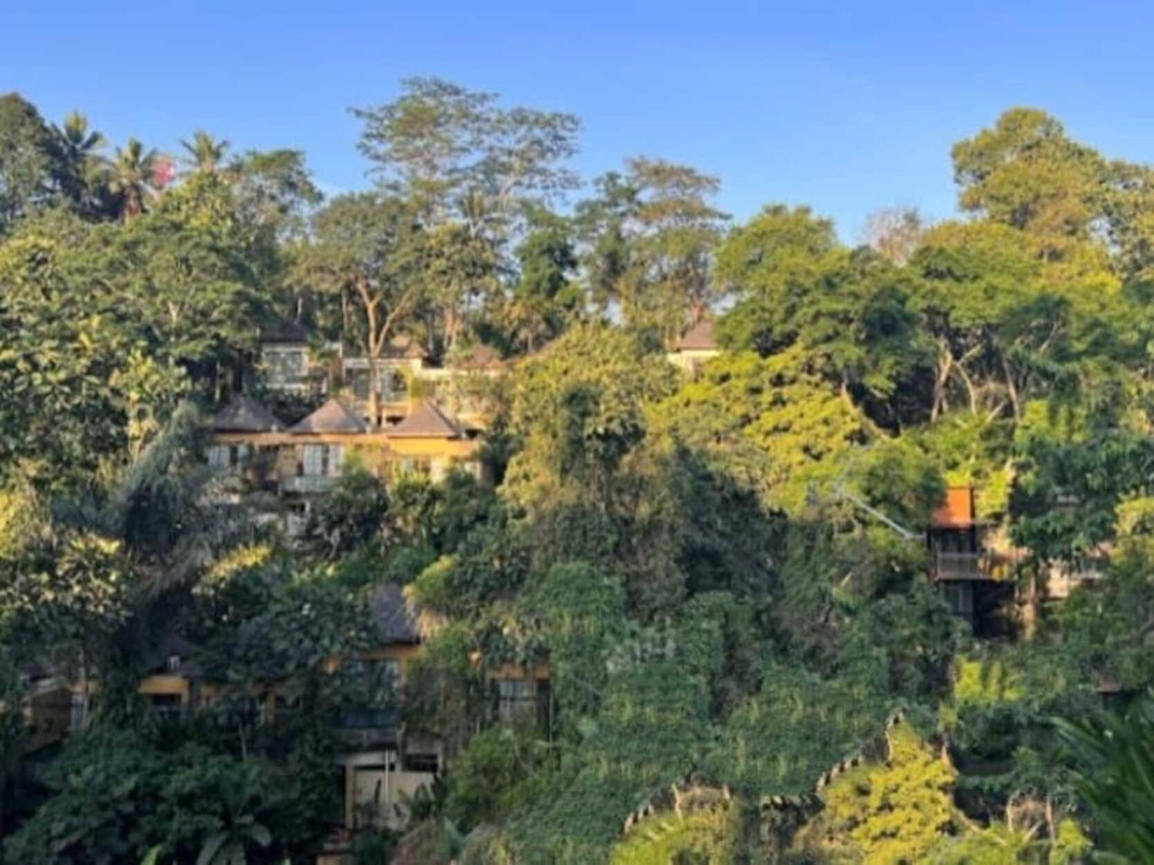 Pondok Kungkang Villa 2 Ubud Exteriör bild